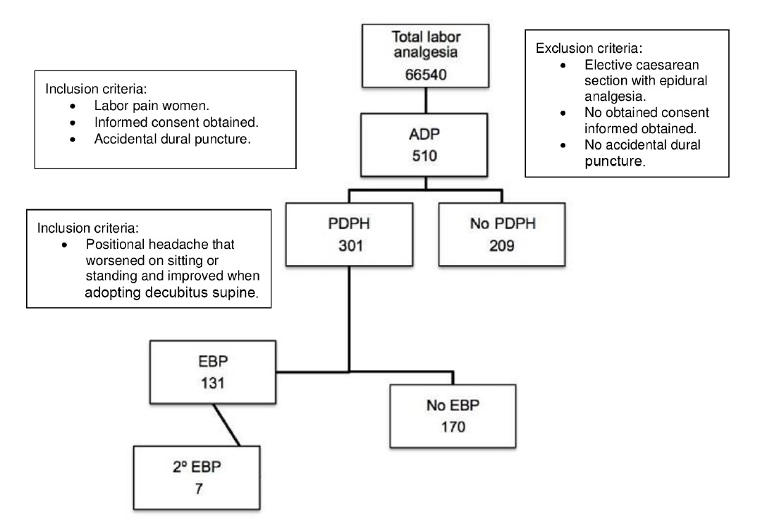 Epidural Chart