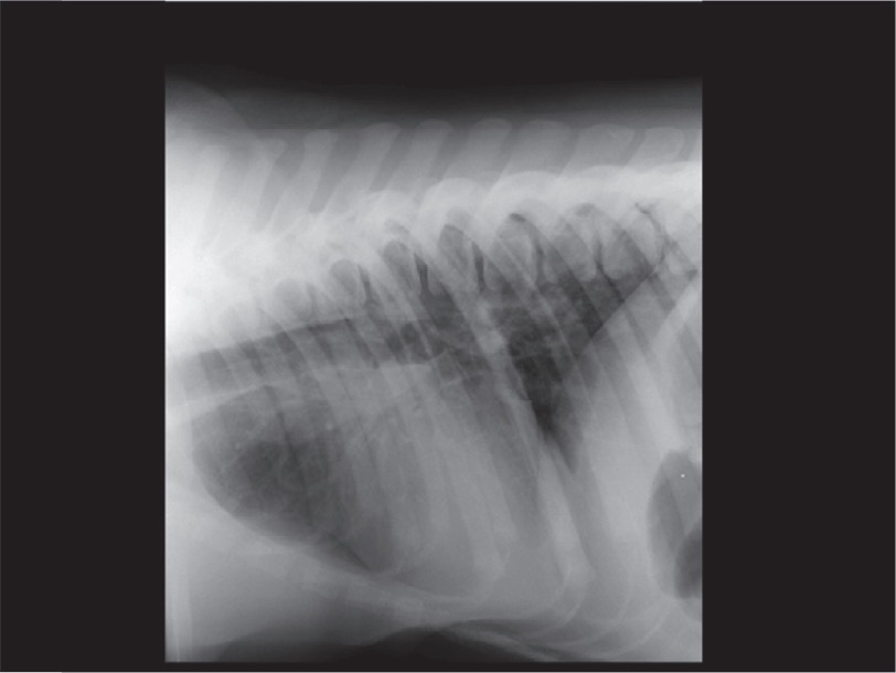 Figure 4.